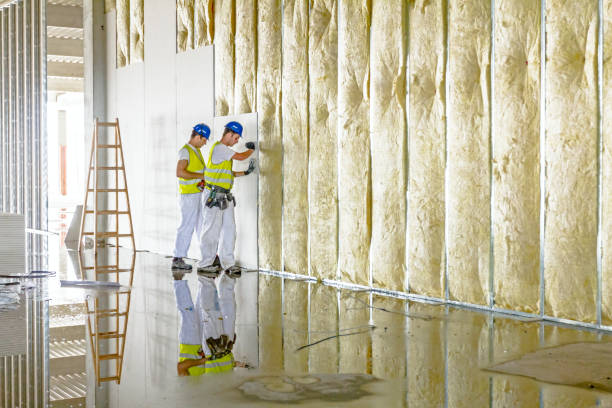 Best Eco-Friendly Insulation in Newton, MA
